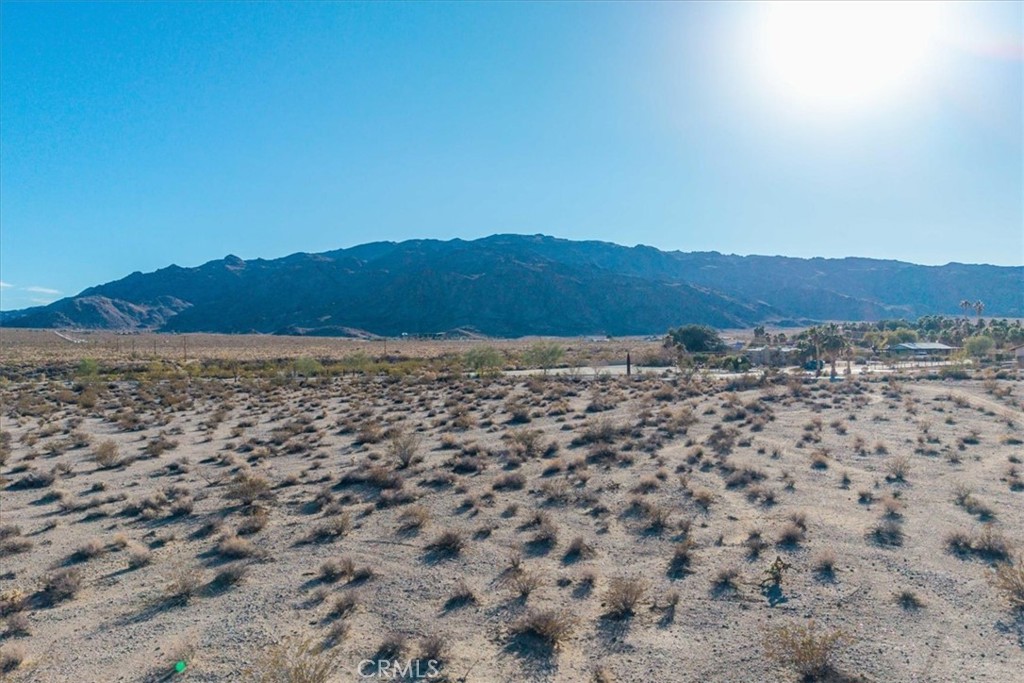 MLS #JT25064970 image #8