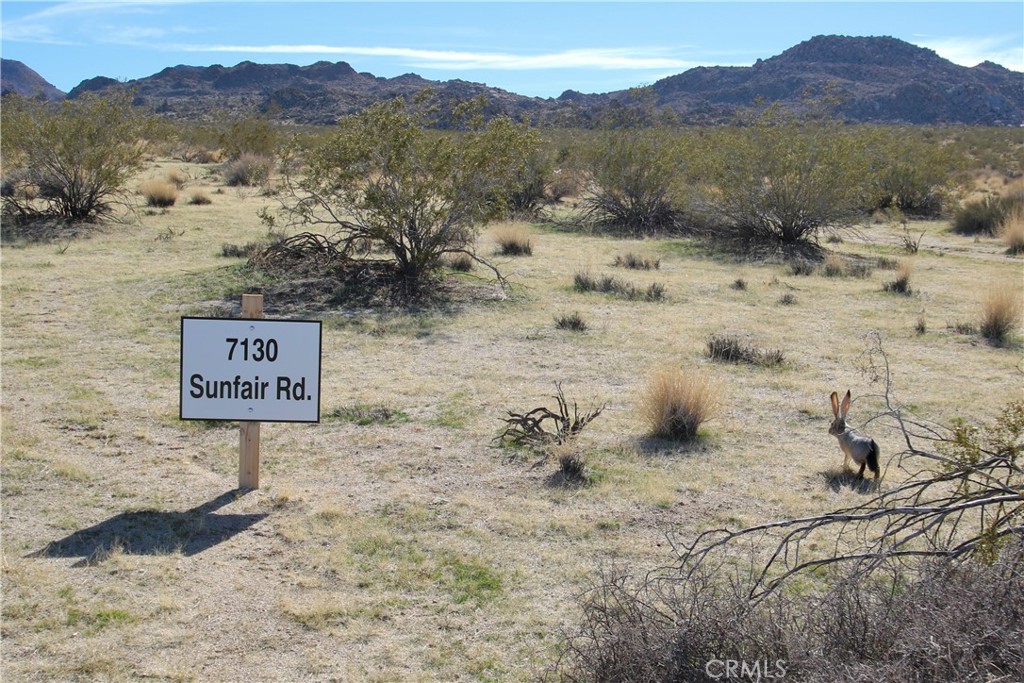 MLS #JT25065149 image #1