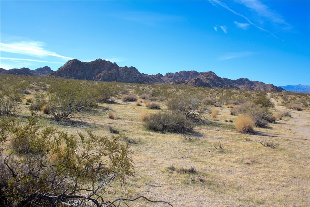 MLS #JT25065149 image #2