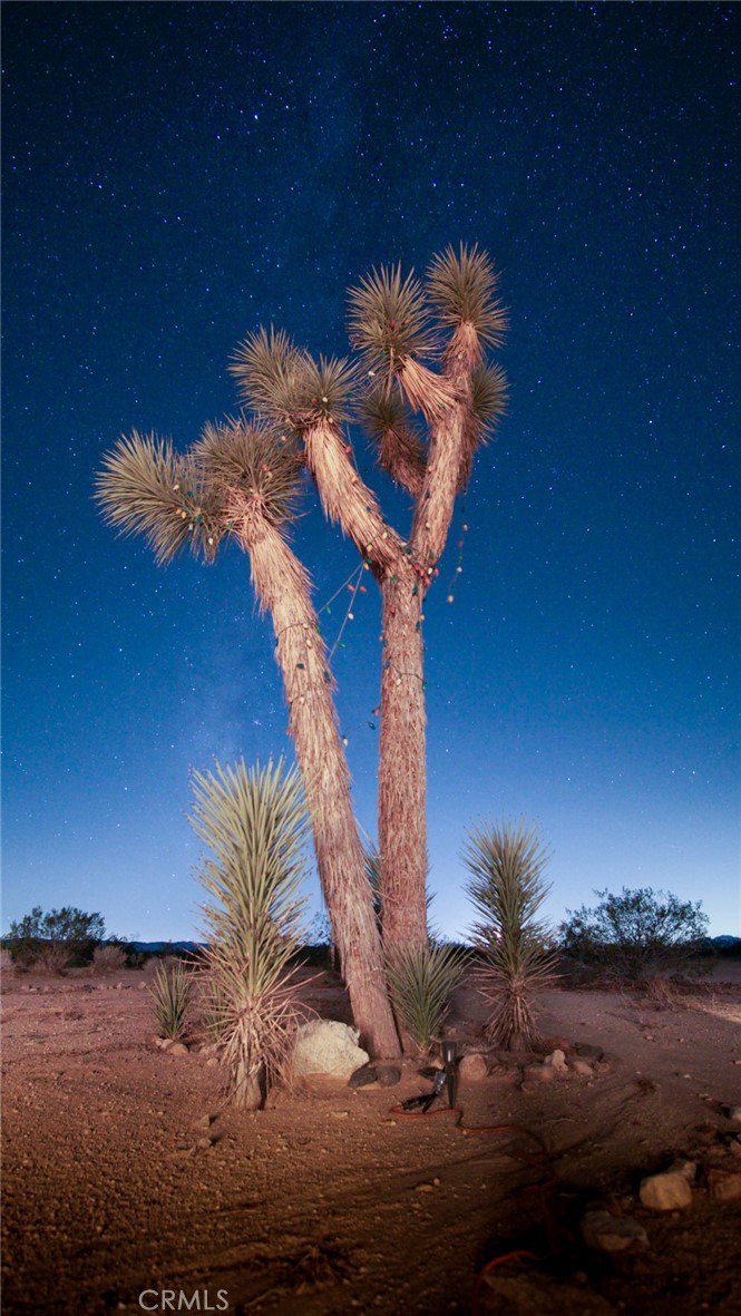 MLS #JT25065989 image #35