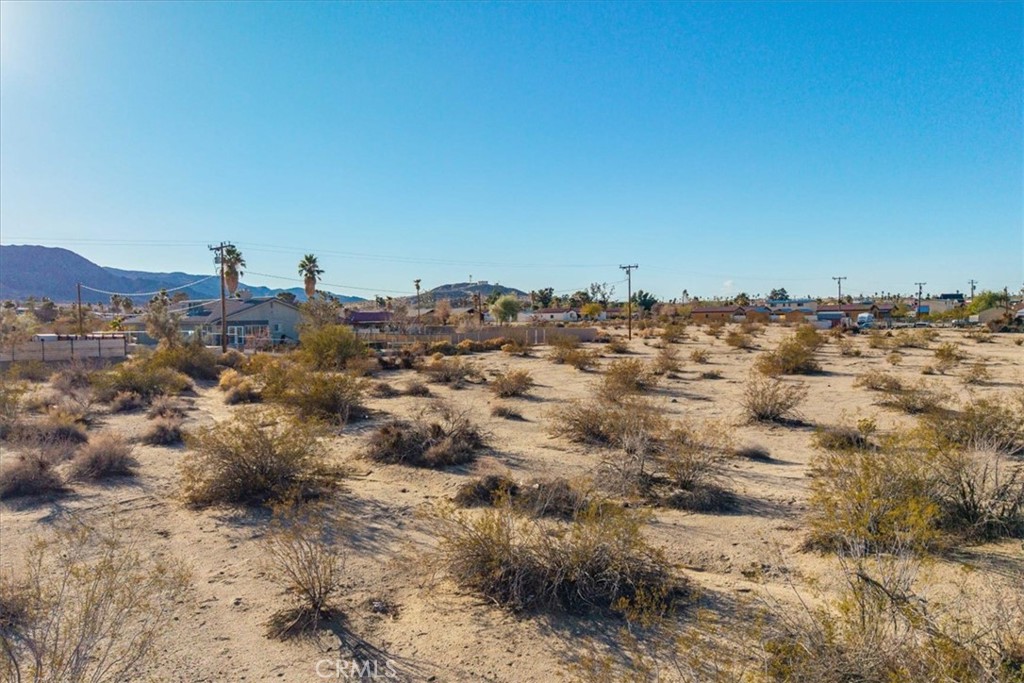 MLS #JT25066134 image #10