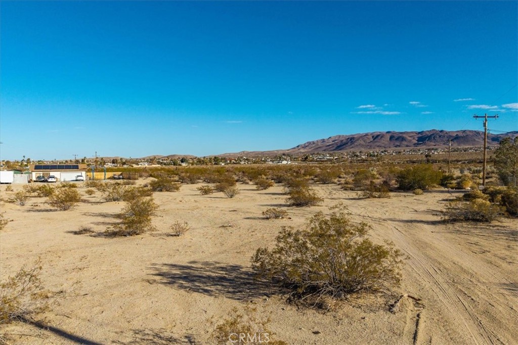 MLS #JT25066134 image #5