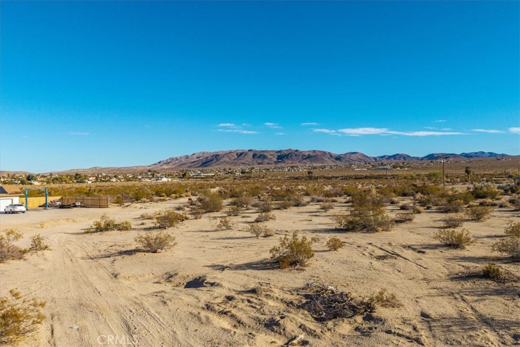 MLS #JT25066134 image #6