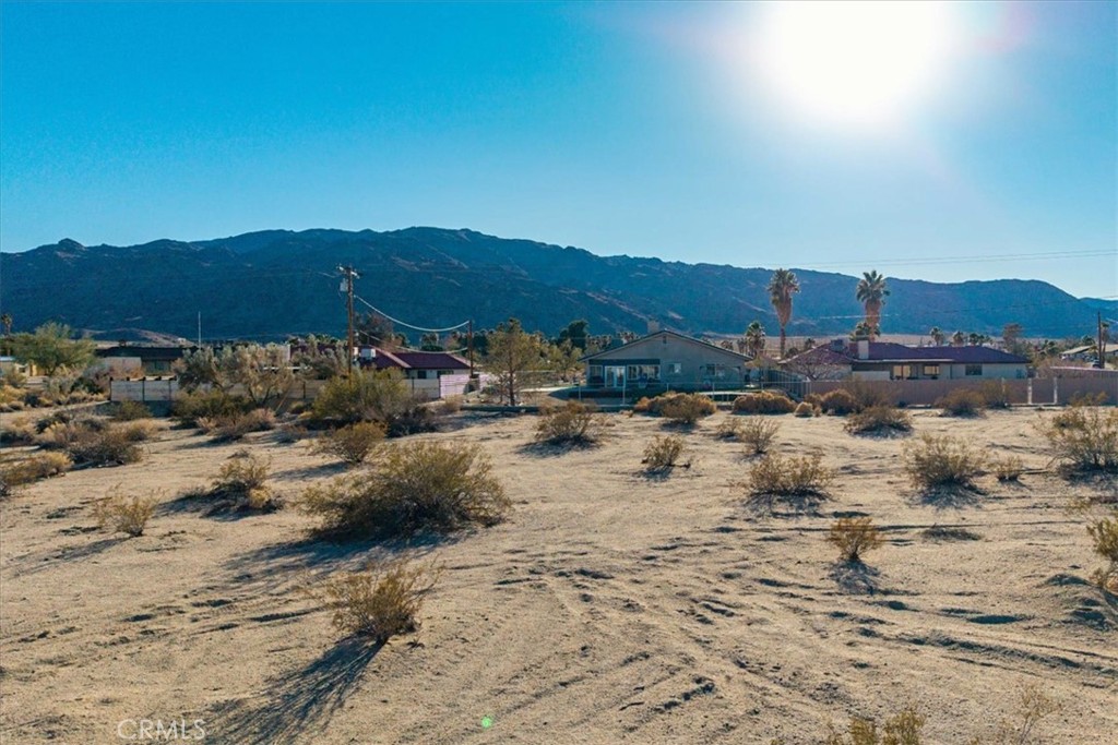 MLS #JT25066134 image #8