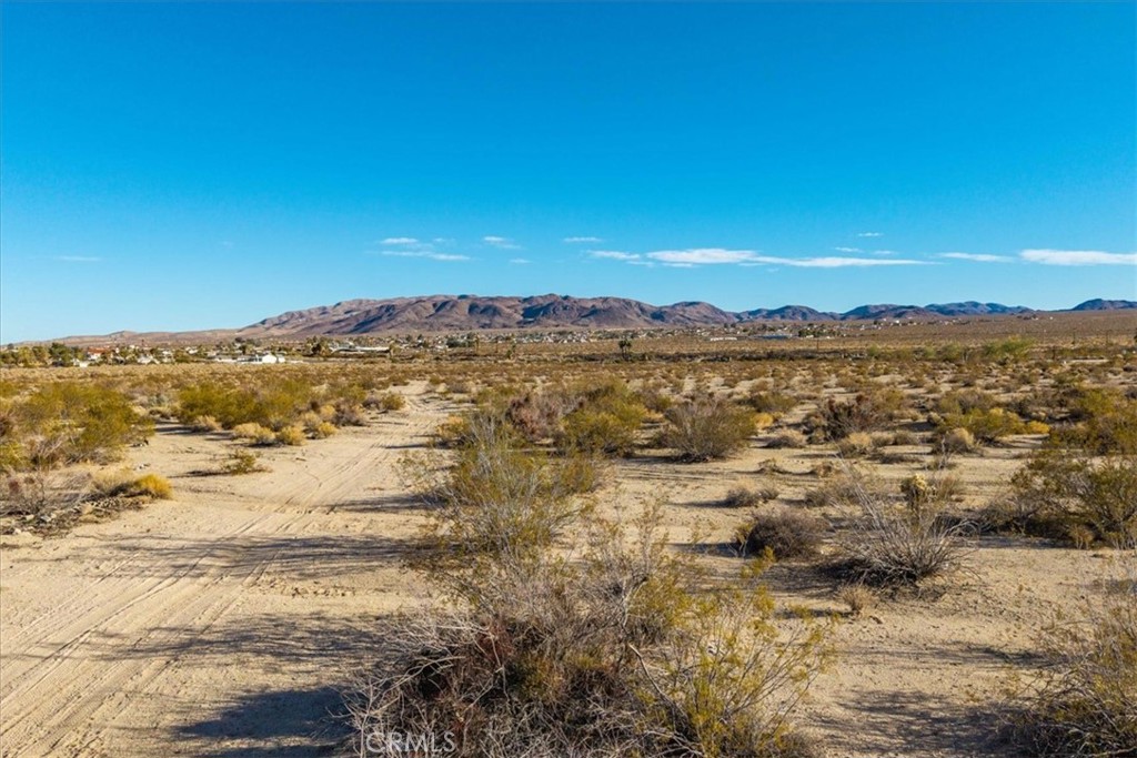 MLS #JT25066134 image #9