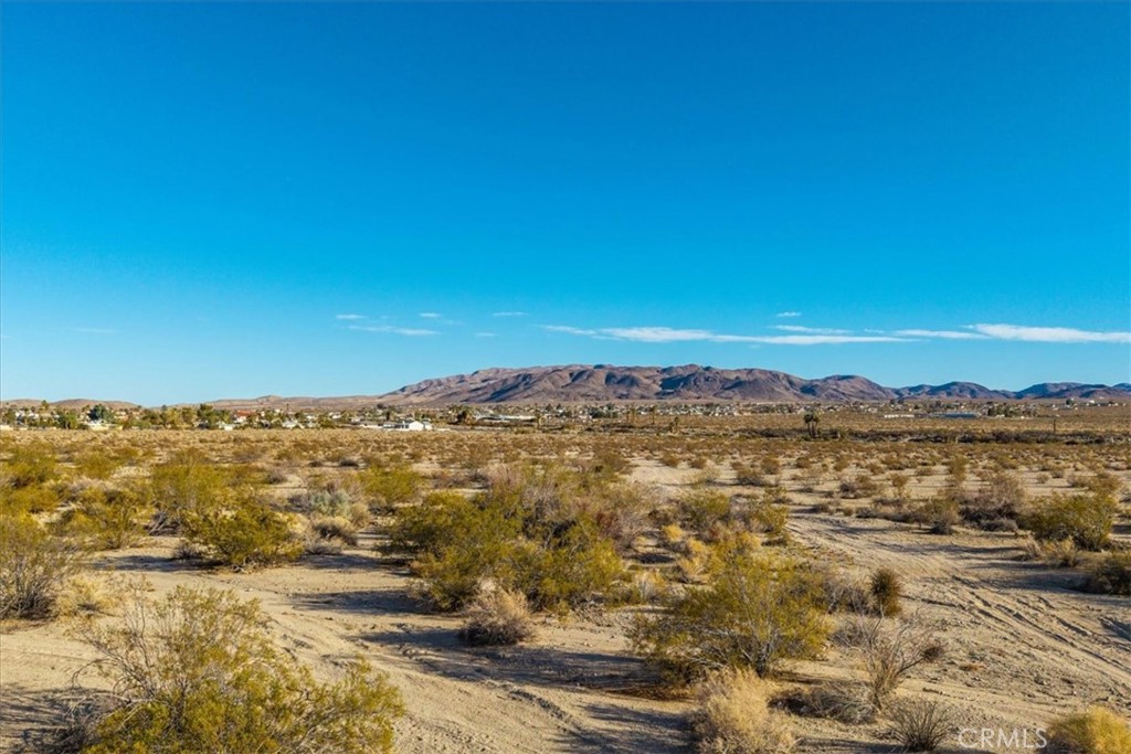 MLS #JT25066213 image #10