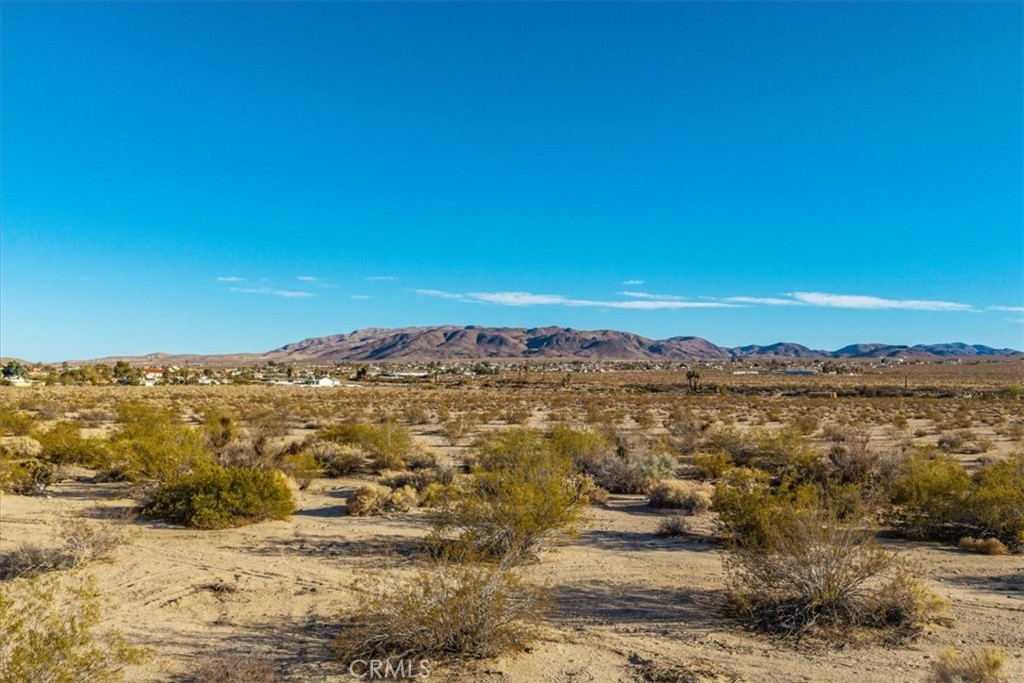 MLS #JT25066213 image #11