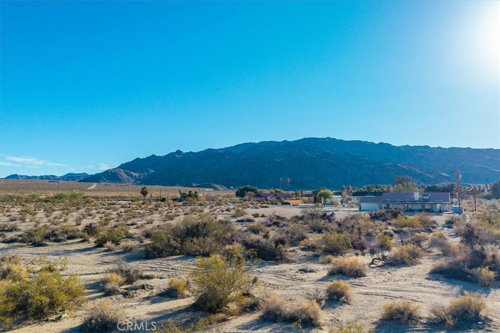 MLS #JT25066213 image #12