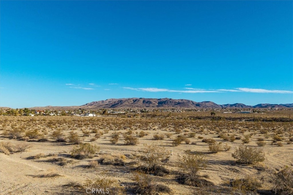 MLS #JT25066213 image #14