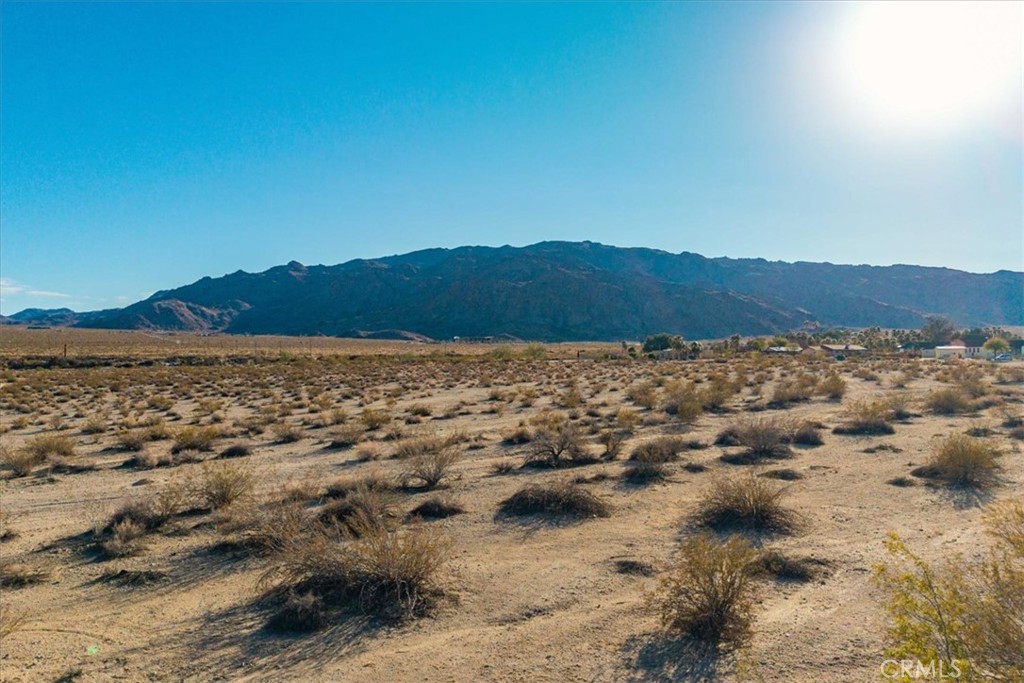 MLS #JT25066213 image #4