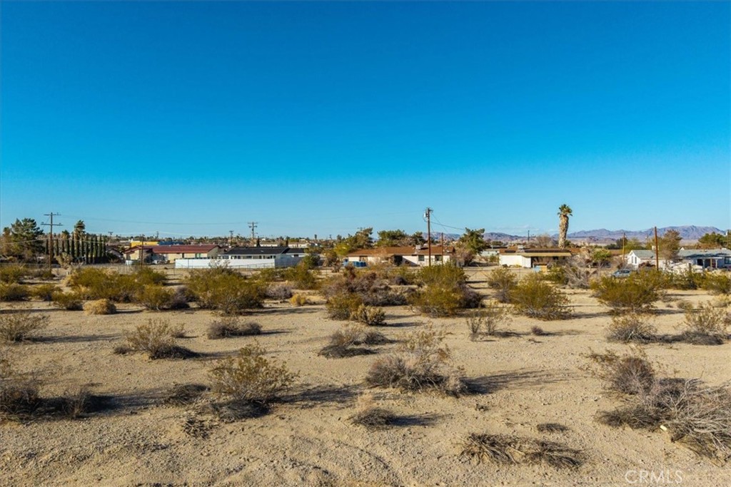 MLS #JT25066213 image #6