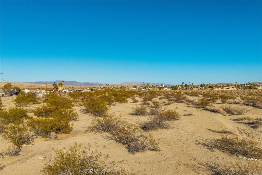 MLS #JT25066213 image #8