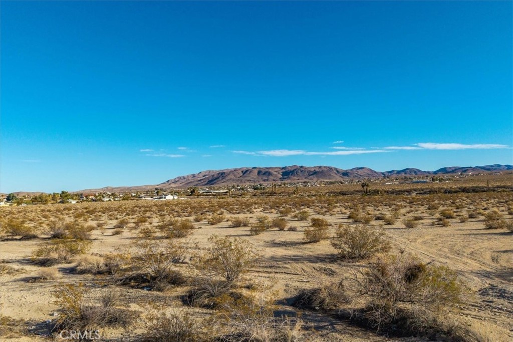 MLS #JT25066213 image #9