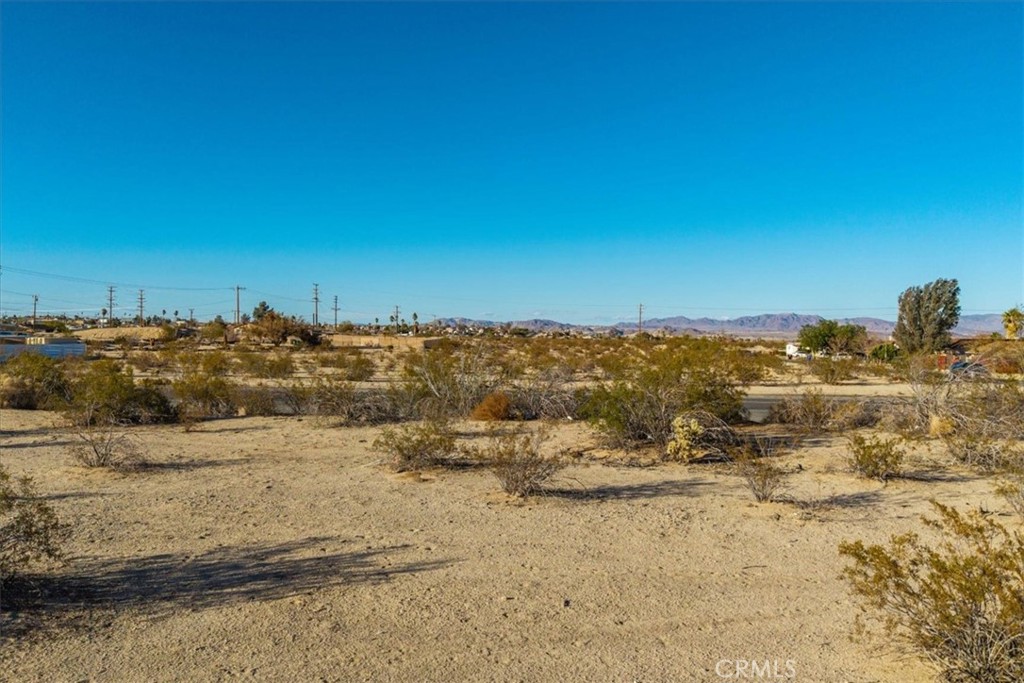 MLS #JT25066474 image #5