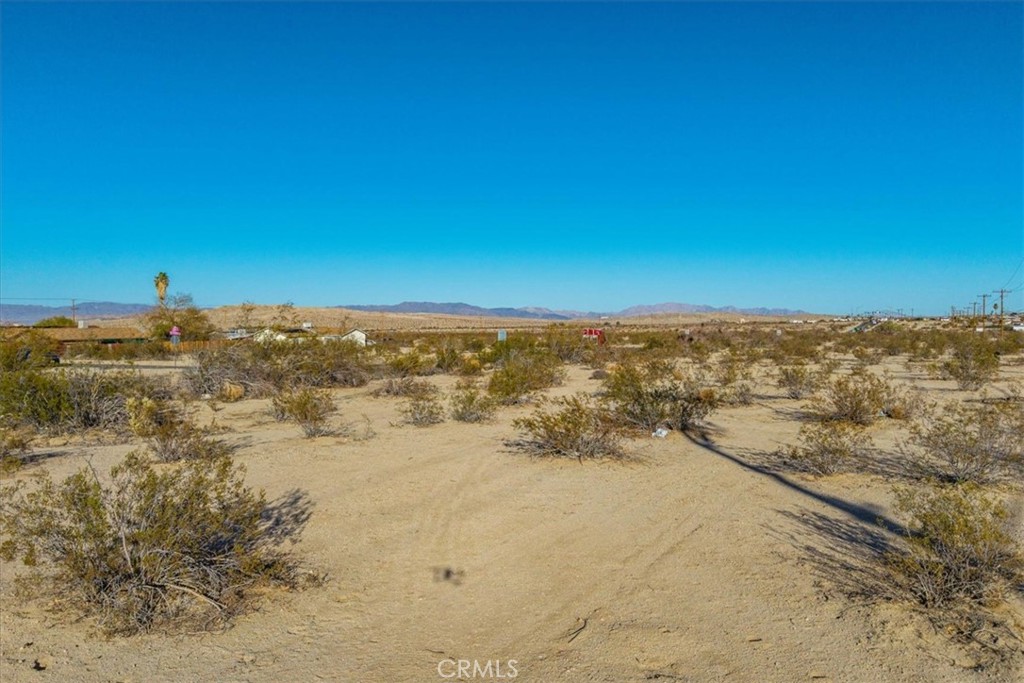 MLS #JT25066474 image #6