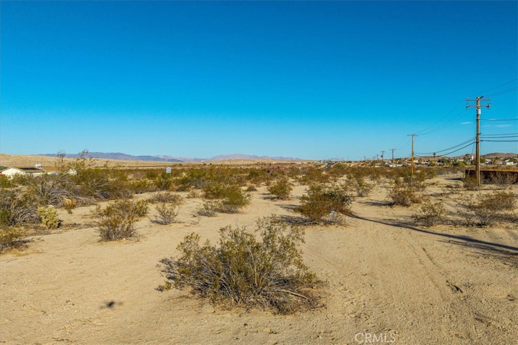 MLS #JT25066474 image #7