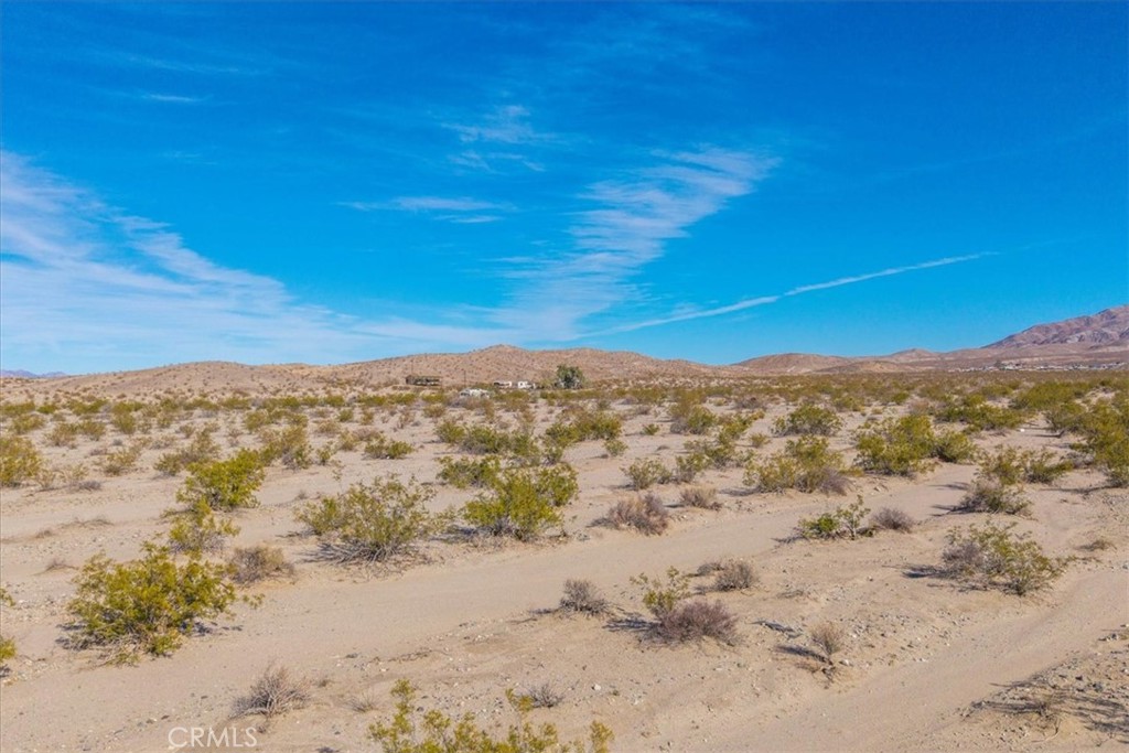 MLS #JT25066883 image #10