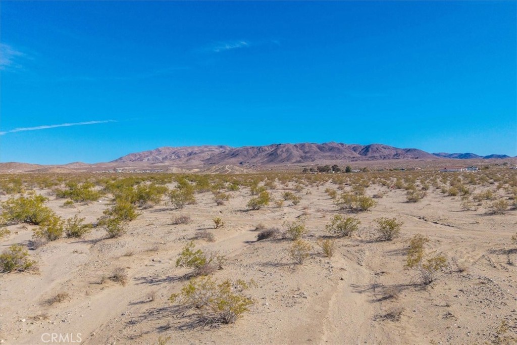 MLS #JT25066883 image #11