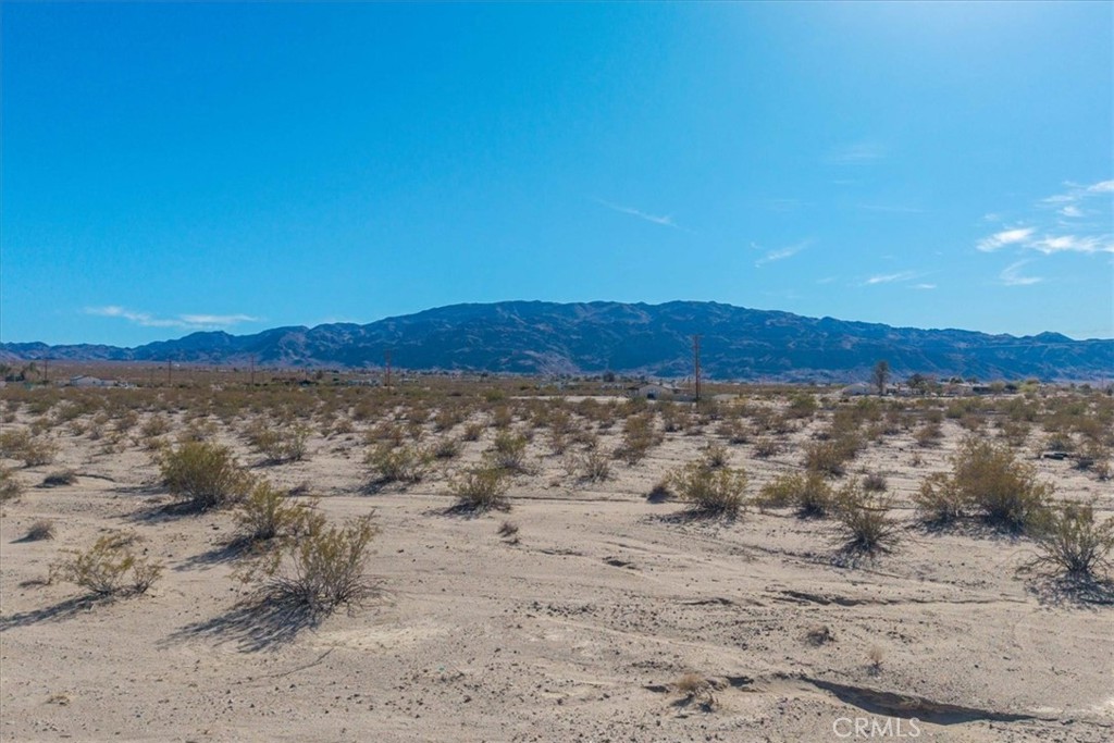 MLS #JT25066883 image #12