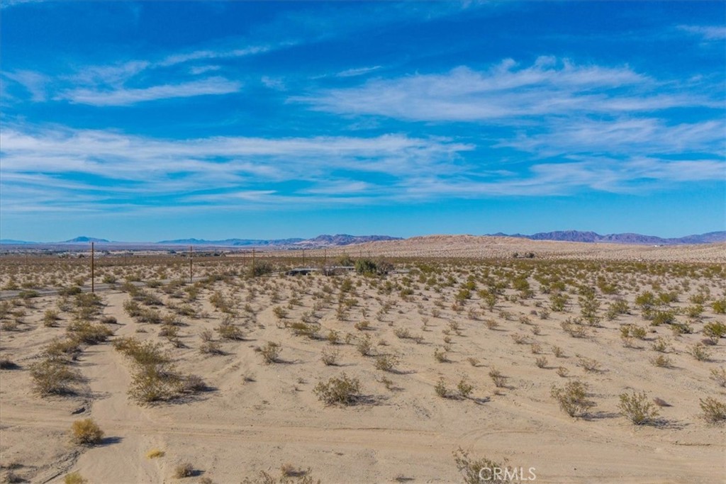 MLS #JT25066883 image #13