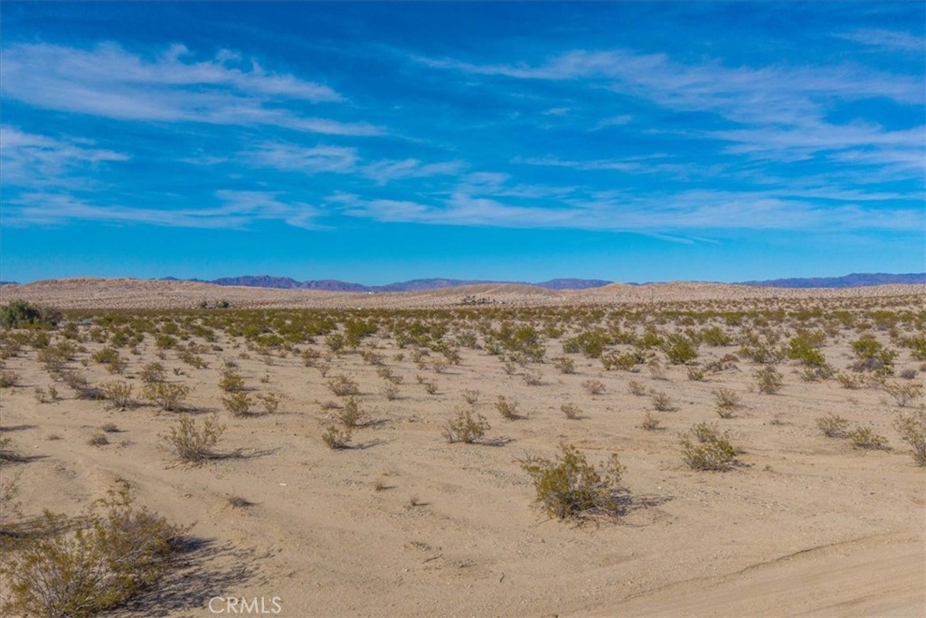 MLS #JT25066883 image #14