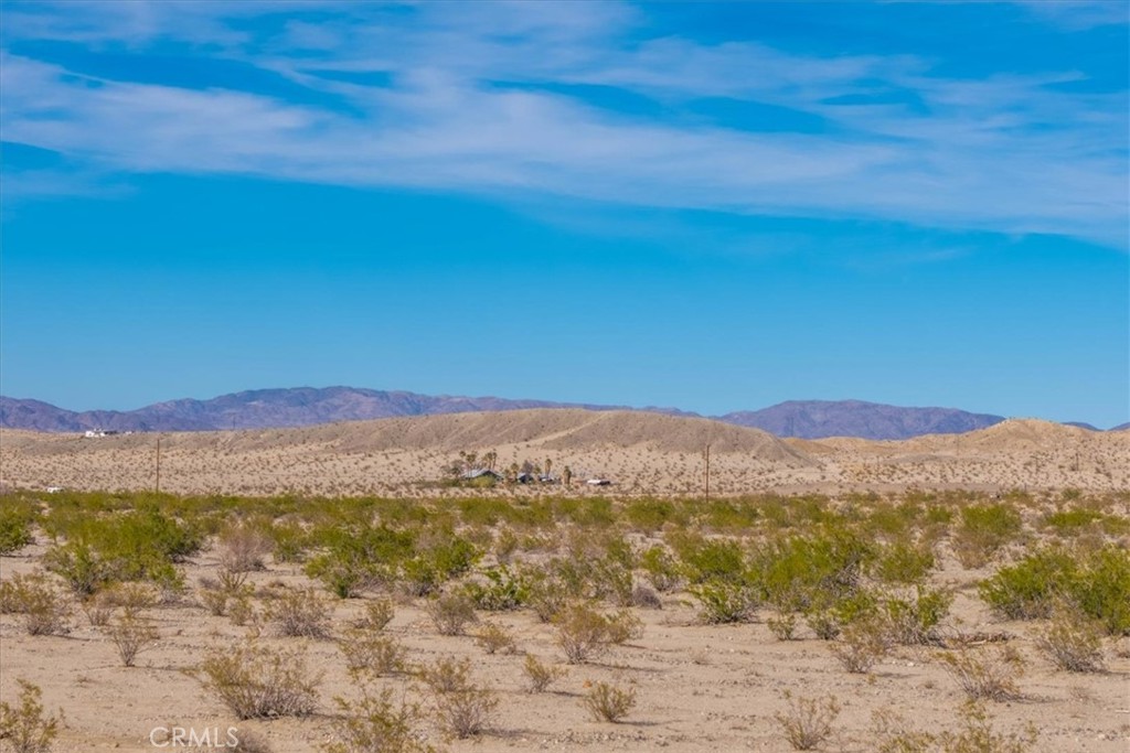 MLS #JT25066883 image #15