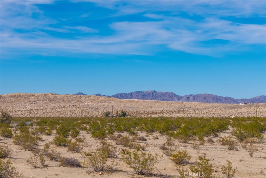 MLS #JT25066883 image #16