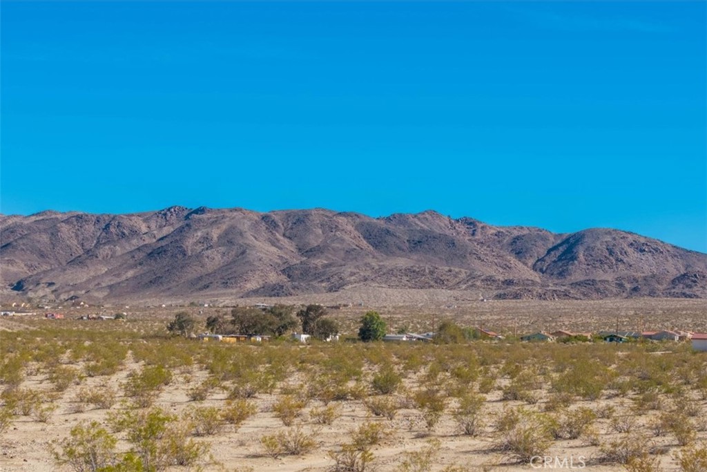 MLS #JT25066883 image #18