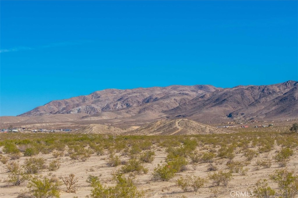 MLS #JT25066883 image #19