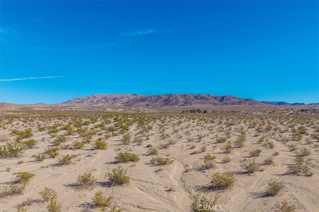 MLS #JT25066883 image #4