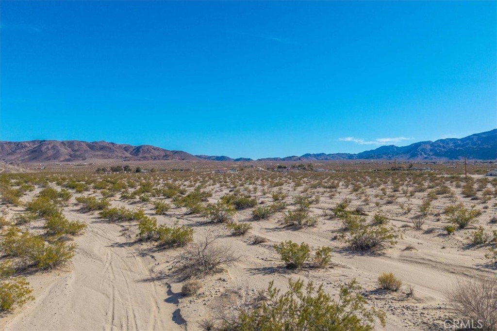 MLS #JT25066883 image #5