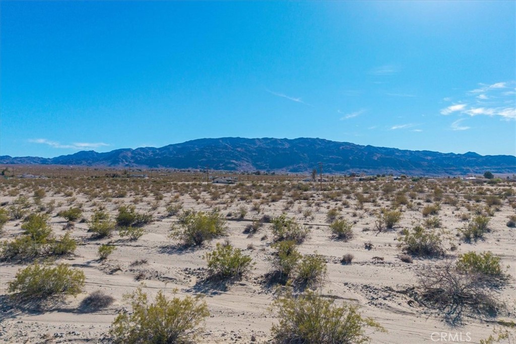 MLS #JT25066883 image #6