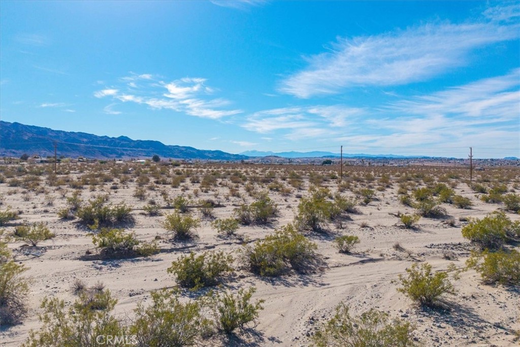 MLS #JT25066883 image #7