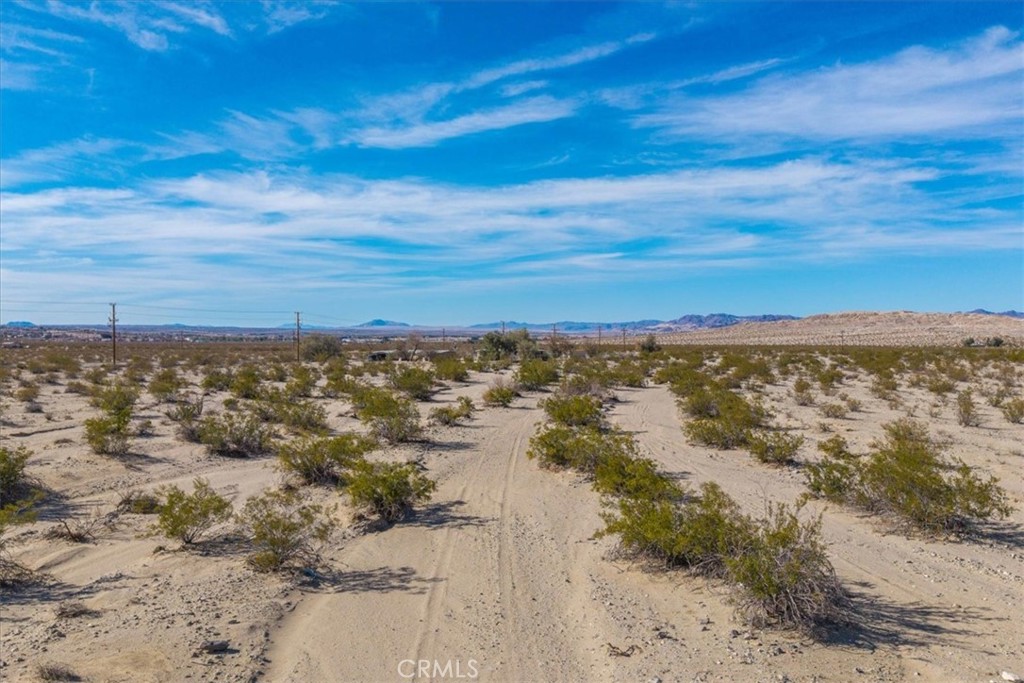 MLS #JT25066883 image #8