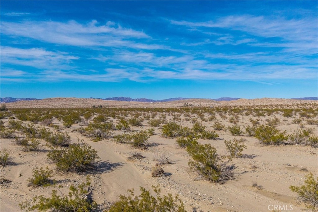 MLS #JT25066883 image #9