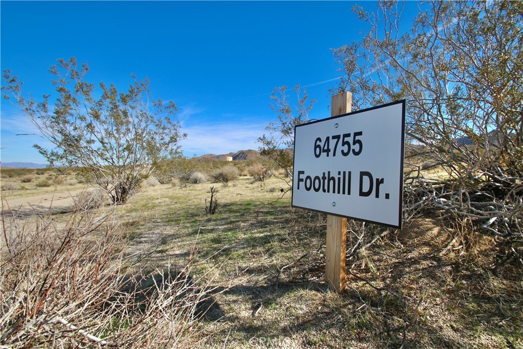 MLS #JT25067207 image #11