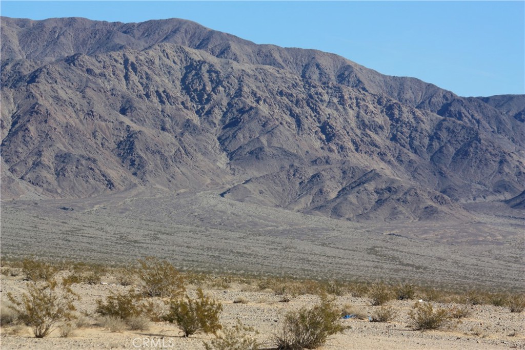 MLS #JT25067223 image #2