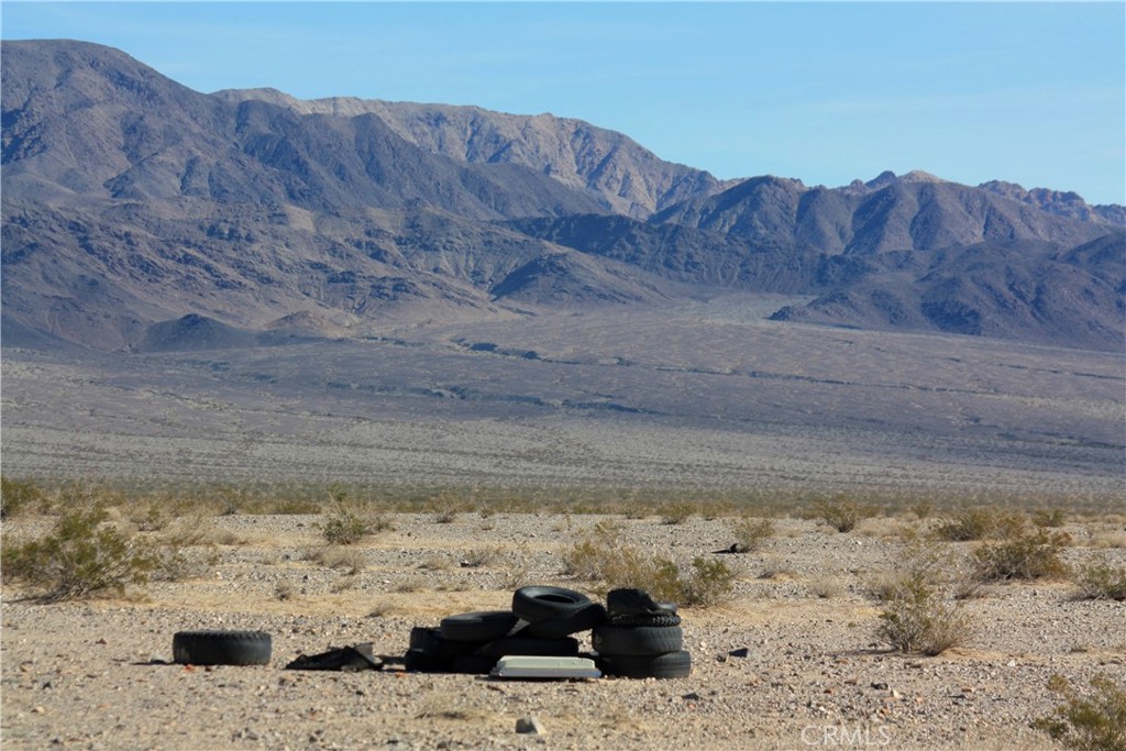 MLS #JT25067223 image #3