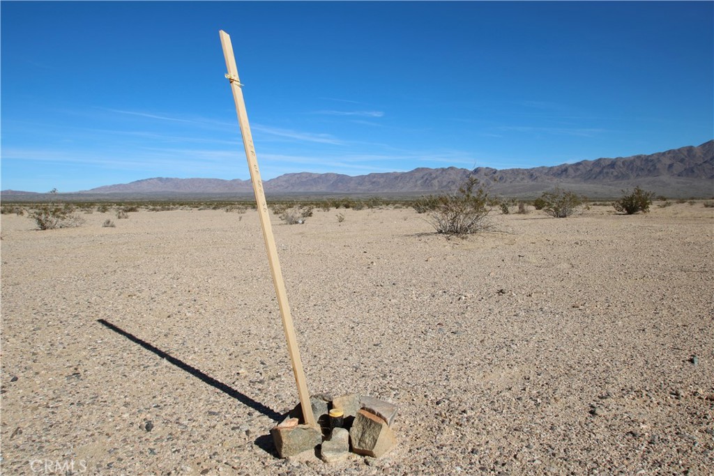 MLS #JT25067223 image #5