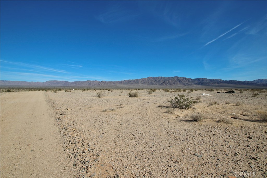 MLS #JT25067223 image #6