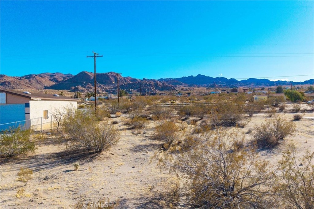 MLS #JT25067255 image #10