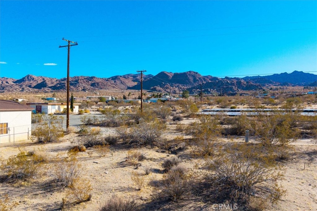 MLS #JT25067255 image #11