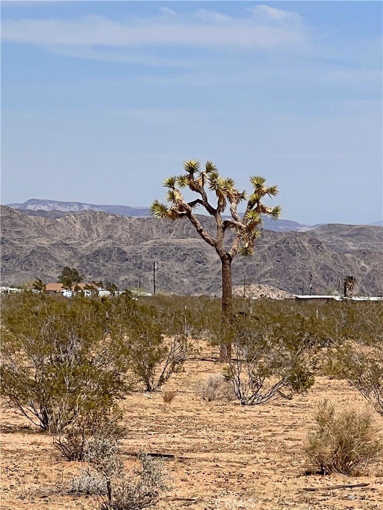 MLS #JT25067279 image #19