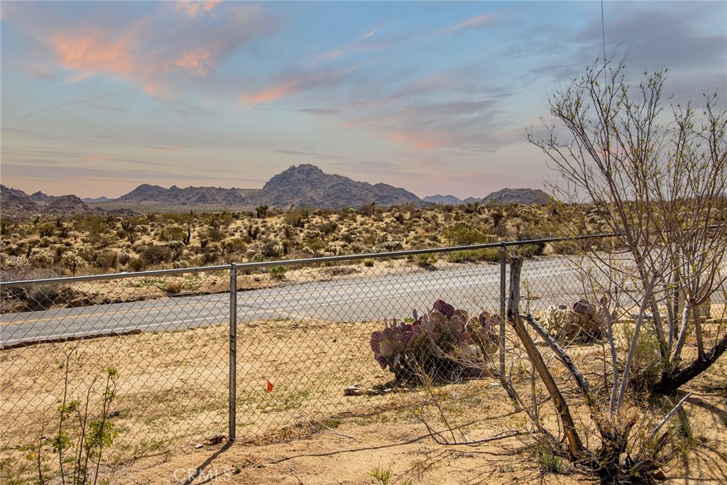 MLS #JT25069024 image #4