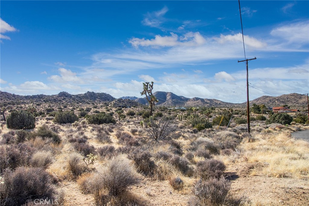 MLS #JT25069039 image #1