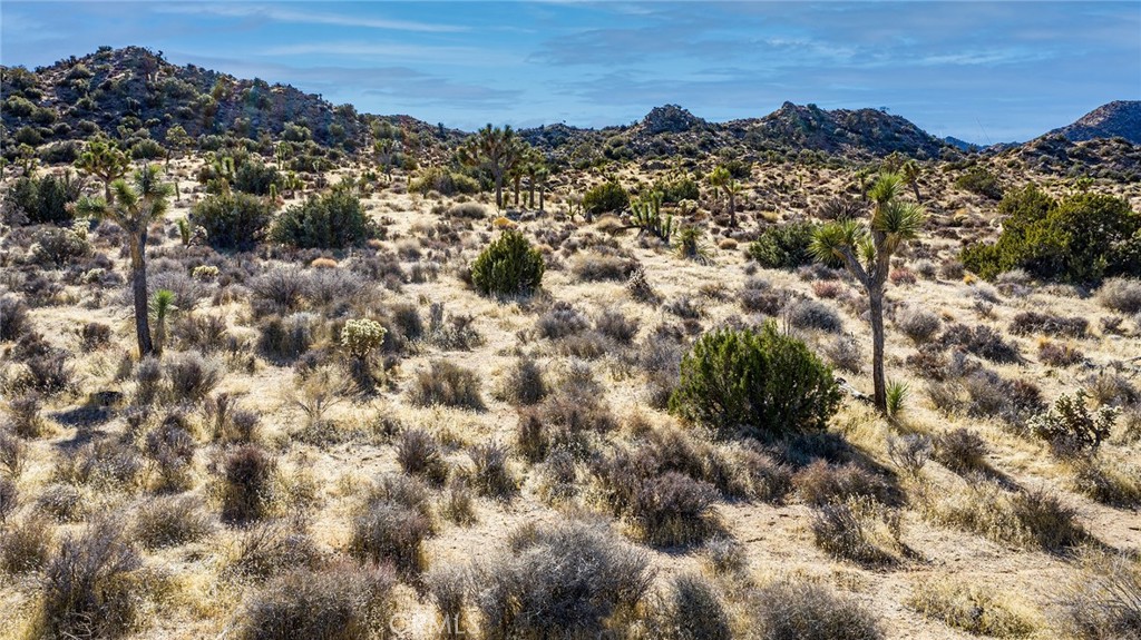 MLS #JT25069039 image #10