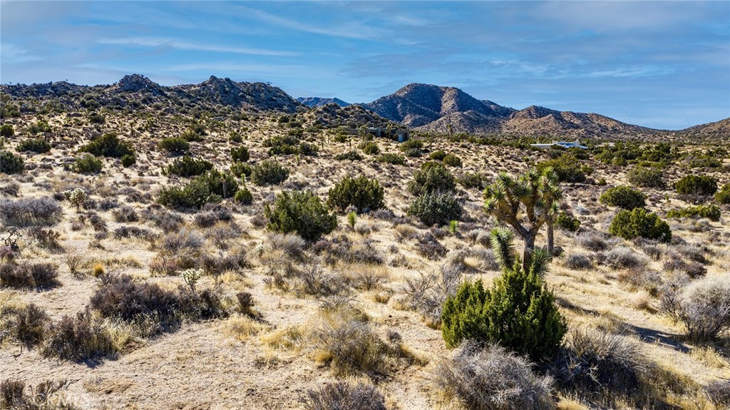 MLS #JT25069039 image #11