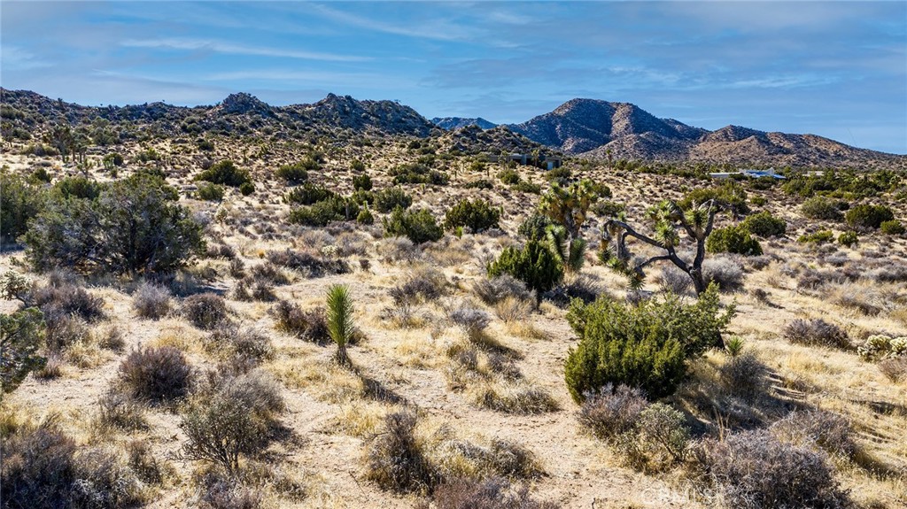 MLS #JT25069039 image #12