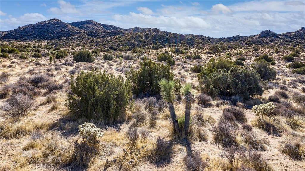 MLS #JT25069039 image #13