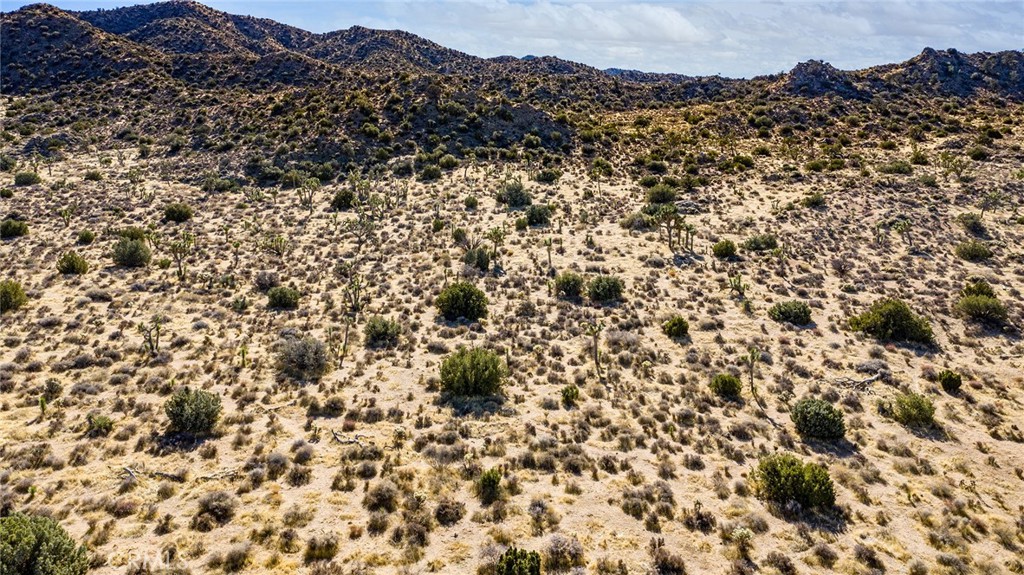 MLS #JT25069039 image #14